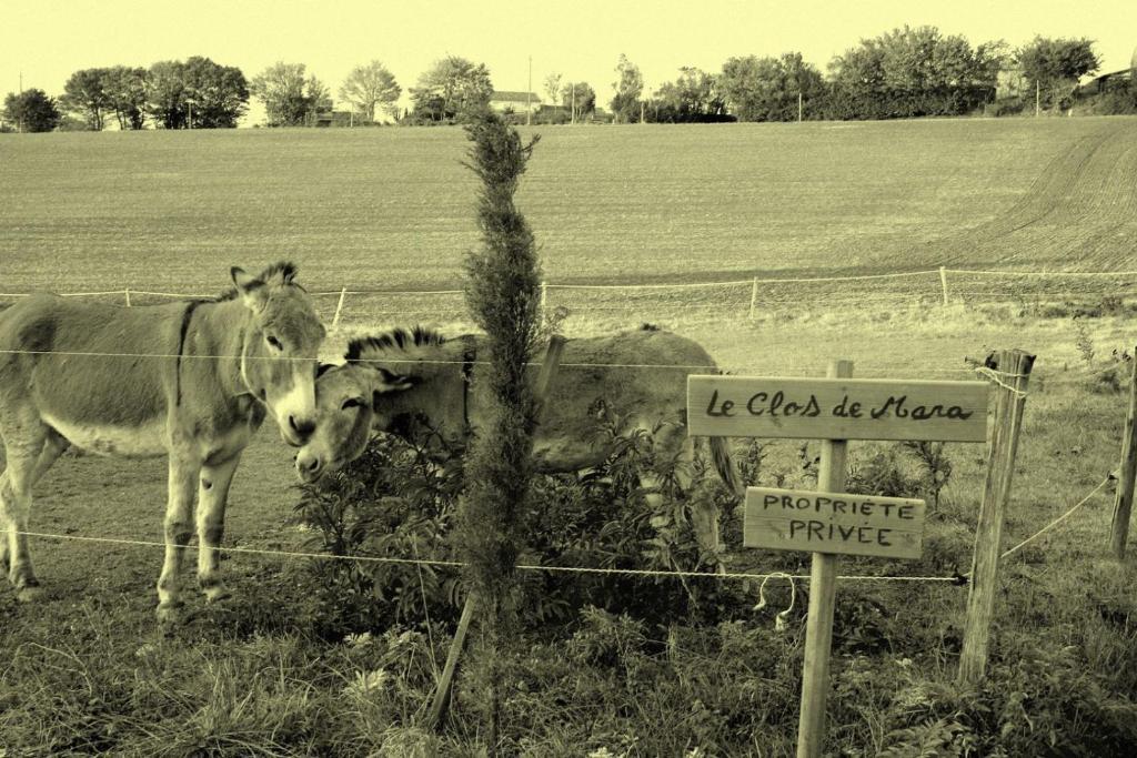 Le Clos De Mara Issus Екстер'єр фото